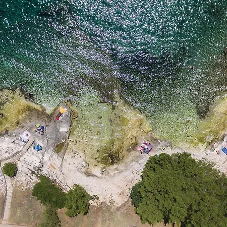 Апартаменти Dracice *